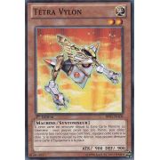 BP02-FR106 Tétra Vylon Commune