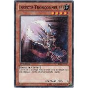 Insecte Tronçonneuse