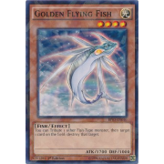 Golden Flying Fish