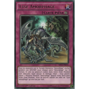 SHVI-FR072 Lyse Amorphage Rare