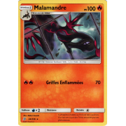 SL11_34/236 Malamandre Rare