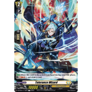 DZ-BT01/110EN Tolerance Wizard Common (C)