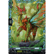 DZ-BT01/FR38EN Sunbathing Dragon Frame Rare (FR)