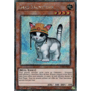 RA02-FR001 Chat Sauveteur Platinum Secret Rare