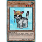 RA02-FR001 Chat Sauveteur Ultimate Rare