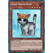 RA02-FR001 Chat Sauveteur Collectors Rare