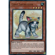 RA02-FR001B Chat Sauveteur Ultra Rare