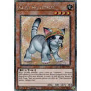 RA02-FR001B Chat Sauveteur Platinum Secret Rare