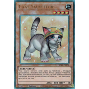 RA02-FR001B Chat Sauveteur Ultimate Rare