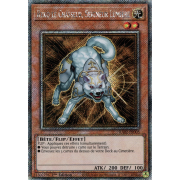 RA02-FR003 Ryko le Chasseur, Seigneur Lumière Platinum Secret Rare