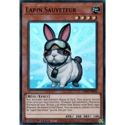 RA02-FR008 Lapin Sauveteur Super Rare