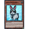 RA02-FR008 Lapin Sauveteur Super Rare