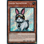 RA02-FR008 Lapin Sauveteur Secret Rare