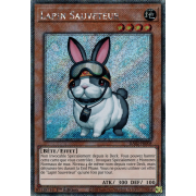 RA02-FR008 Lapin Sauveteur Platinum Secret Rare