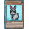 RA02-FR008 Lapin Sauveteur Ultimate Rare