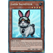 RA02-FR008 Lapin Sauveteur Collectors Rare