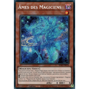 RA02-FR014 Âmes des Magiciens Secret Rare