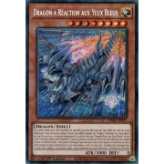 RA02-FR017 Dragon à Réaction aux Yeux Bleus Secret Rare