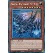 RA02-FR017 Dragon à Réaction aux Yeux Bleus Collectors Rare