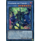 RA02-FR020 Illusion du Chaos Secret Rare