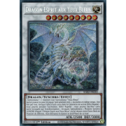 RA02-FR030 Dragon Esprit aux Yeux Bleus Secret Rare