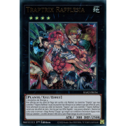 RA02-FR034 Traptrix Rafflesia Ultra Rare