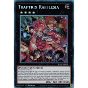 RA02-FR034 Traptrix Rafflesia Collectors Rare