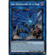 RA02-FR041 Âme Désenchaînée de la Rage Secret Rare