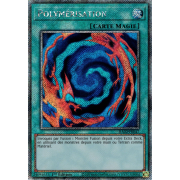 RA02-FR047 Polymérisation Platinum Secret Rare