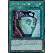 RA02-FR057 Pot de Dualité Secret Rare