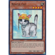 RA02-EN001 Rescue Cat Super Rare