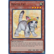 RA02-EN001B Chat Sauveteur Super Rare