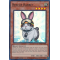 RA02-EN008 Rescue Rabbit Super Rare
