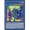 RA02-EN020 Illusion of Chaos Super Rare