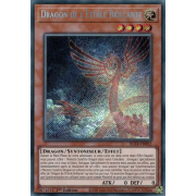 BLTR-FR002 Dragon de l'Étoile Brillante Secret Rare