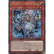 INFO-FR014 Elzette de la Forêt Blanche Quarter Century Secret Rare