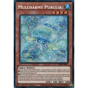 INFO-FR027 Mulcharmy Purulia Secret Rare