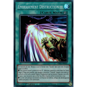 INFO-FR055 Embrasement Destruction !!! Super Rare