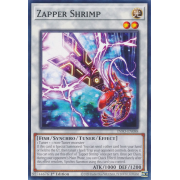 INFO-EN088 Zapper Shrimp Commune