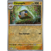 EV05_055/162 Chrysapile Inverse