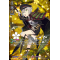 D-TB04/TRR17EN Hotarumaru Kiwame Touken Ranbu Rare (TRR)