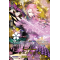 D-TB04/TRR64EN Souza Samonji Kiwame Touken Ranbu Rare (TRR)