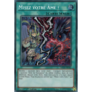 MP24-FR142 Misez votre Âme ! Prismatic Secret Rare