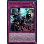 MP24-FR200 Préservation Dinomorphia Ultra Rare