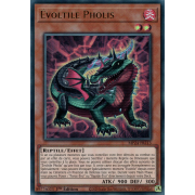 MP24-FR213 Évoltile Pholis Ultra Rare