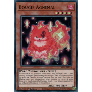 MP24-FR218 Bougie Agnimal Ultra Rare