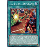 MP24-FR325 Jeu de Ballon Géant Commune