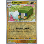 EV07_052/142 Chrysapile Inverse