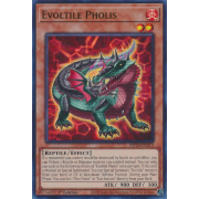 MP24-EN213 Evoltile Pholis Ultra Rare