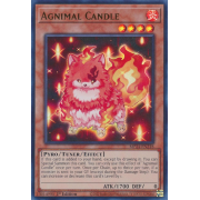 MP24-EN218 Agnimal Candle Ultra Rare